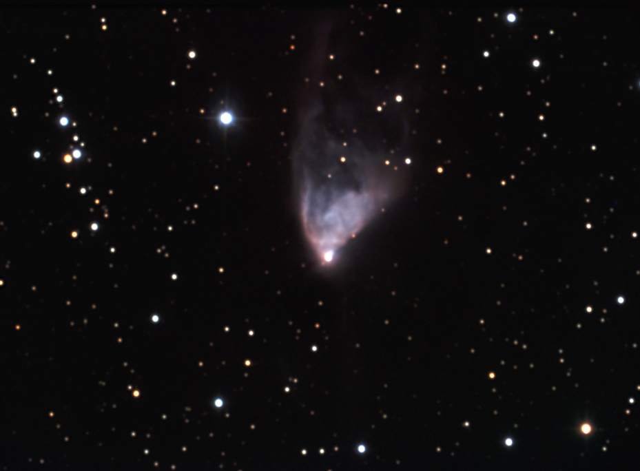 NGC 2261.jpg